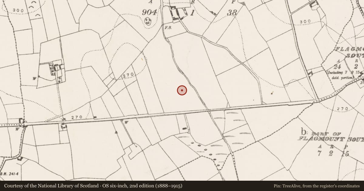 Ordnance Survey six-inch map, 2nd edition (1888–1915) covering the location of Structure, Blanchvillespark, County Kilkenny, with a pin at the register's coordinates