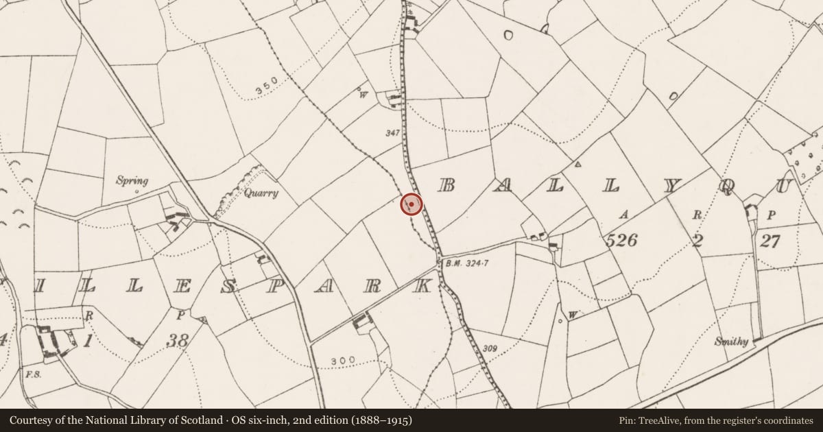 Ordnance Survey six-inch map, 2nd edition (1888–1915) covering the location of Excavation - miscellaneous, Ballyquirk, Blanchvillespark, County Kilkenny, with a pin at the register's coordinates