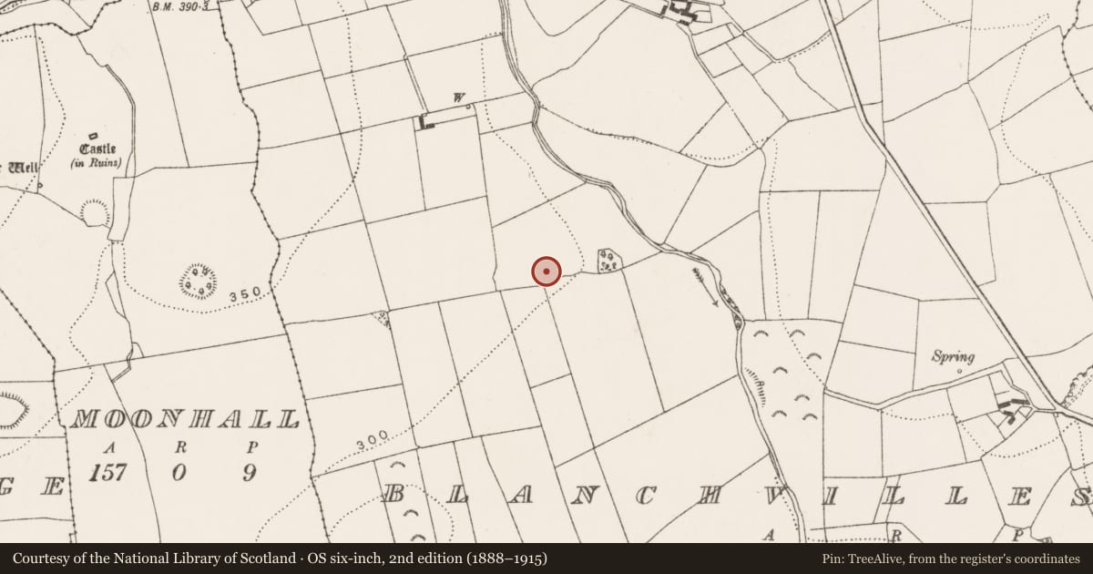 Ordnance Survey six-inch map, 2nd edition (1888–1915) covering the location of Burnt mound, Blanchvillespark, County Kilkenny, with a pin at the register's coordinates
