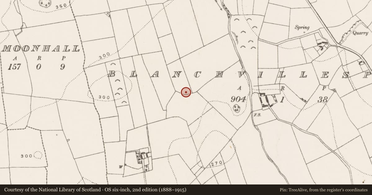 Ordnance Survey six-inch map, 2nd edition (1888–1915) covering the location of Enclosure, Blanchvillespark, County Kilkenny, with a pin at the register's coordinates