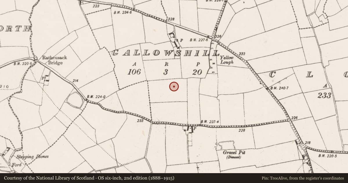 Ordnance Survey six-inch map, 2nd edition (1888–1915) covering the location of Ring-ditch, Gallowshill, County Kilkenny, with a pin at the register's coordinates