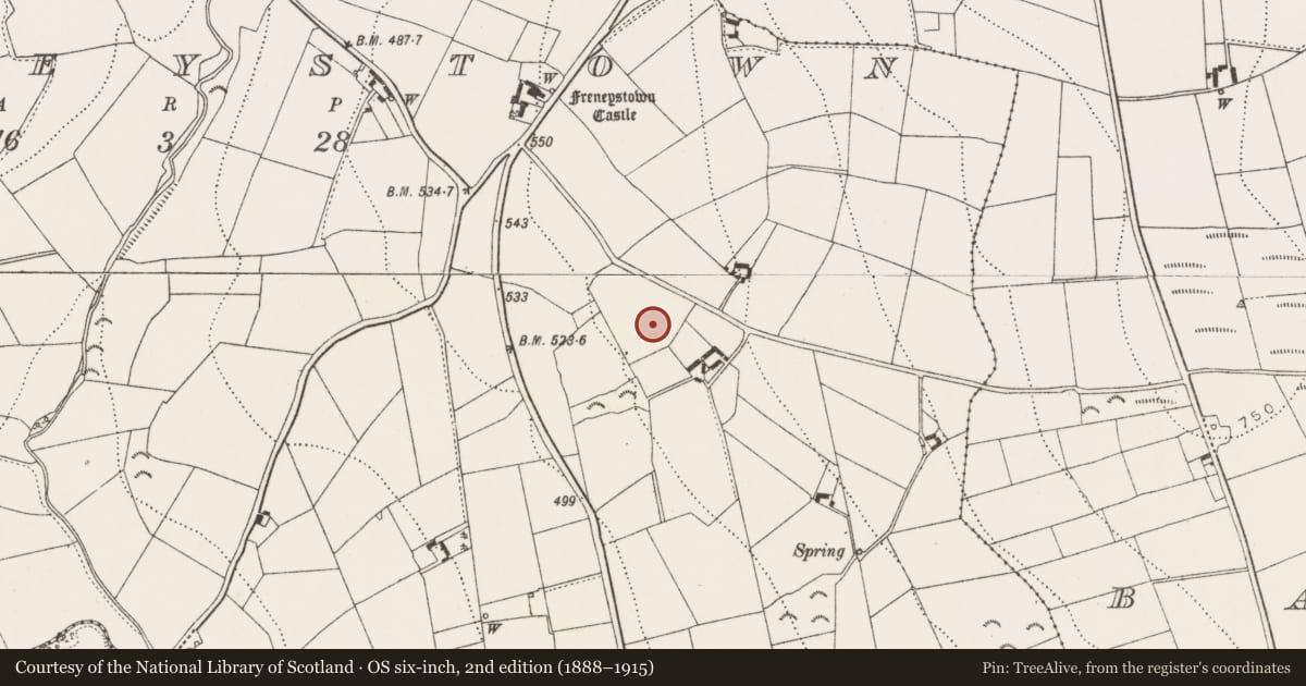 Ordnance Survey six-inch map, 2nd edition (1888–1915) covering the location of Enclosure, Freneystown, County Kilkenny, with a pin at the register's coordinates