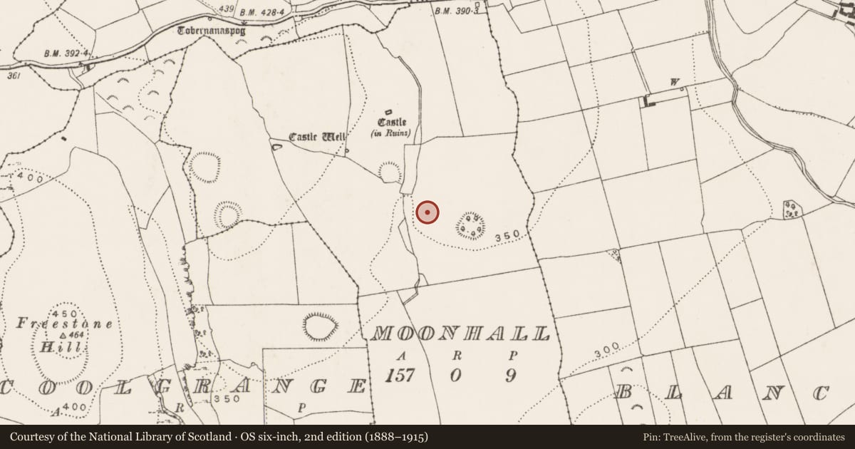 Ordnance Survey six-inch map, 2nd edition (1888–1915) covering the location of Enclosure, Moonhall, County Kilkenny, with a pin at the register's coordinates