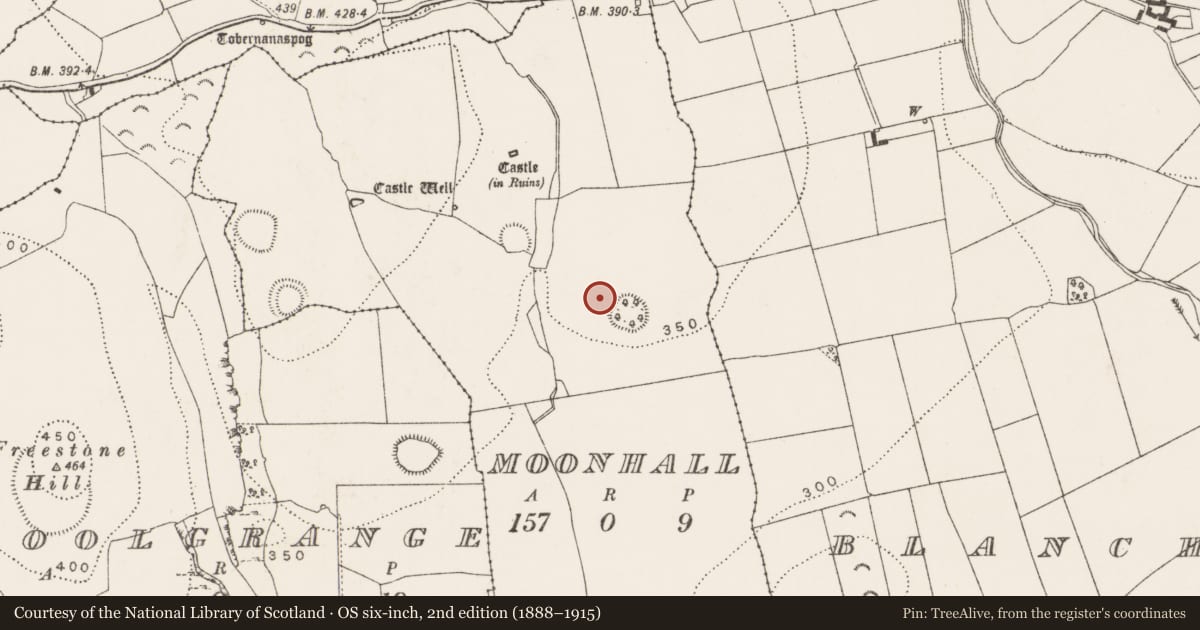 Ordnance Survey six-inch map, 2nd edition (1888–1915) covering the location of Enclosure, Moonhall, County Kilkenny, with a pin at the register's coordinates