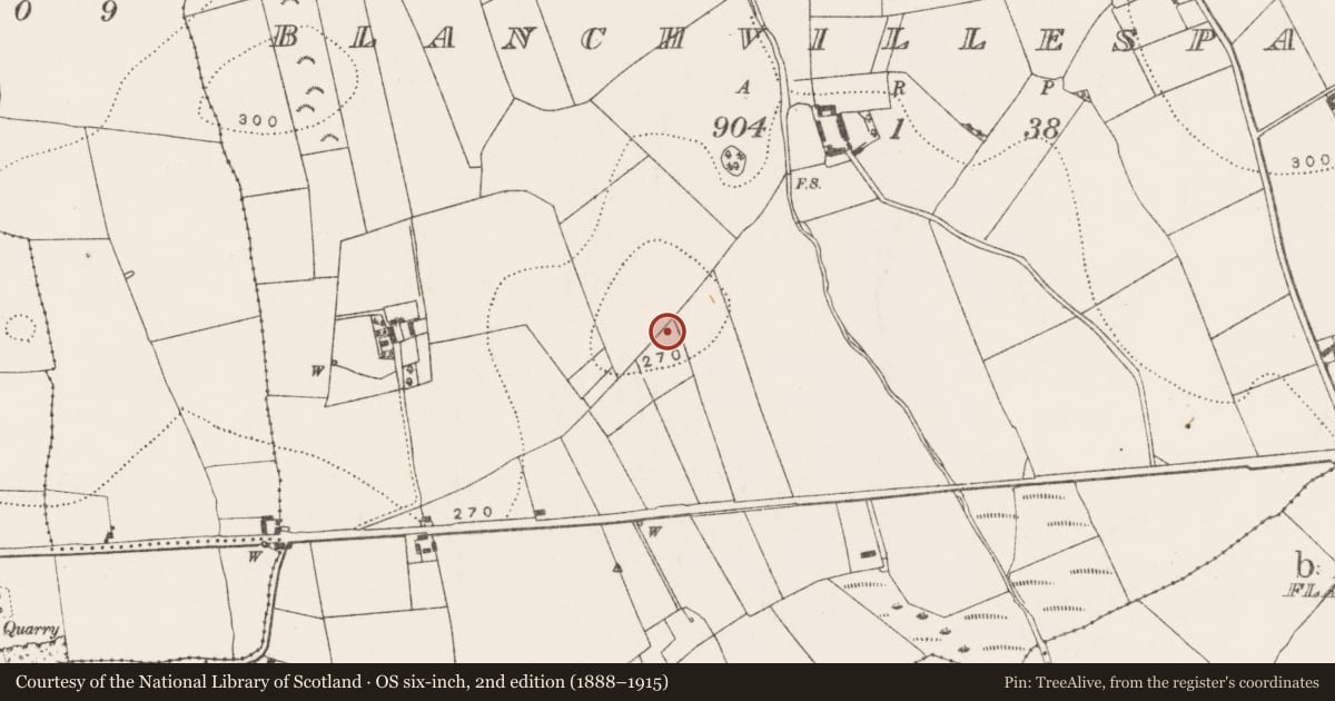 Ordnance Survey six-inch map, 2nd edition (1888–1915) covering the location of Enclosure - large enclosure, Blanchvillespark, County Kilkenny, with a pin at the register's coordinates