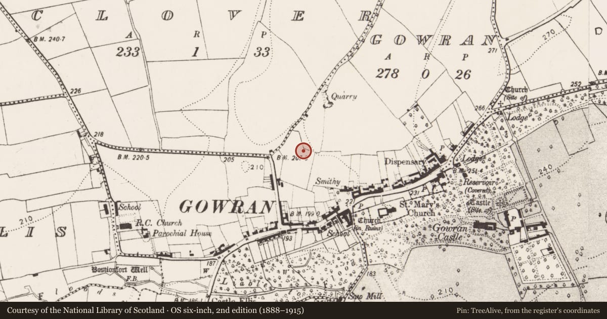 Ordnance Survey six-inch map, 2nd edition (1888–1915) covering the location of Barrow - ditch barrow, Gowran, County Kilkenny, with a pin at the register's coordinates