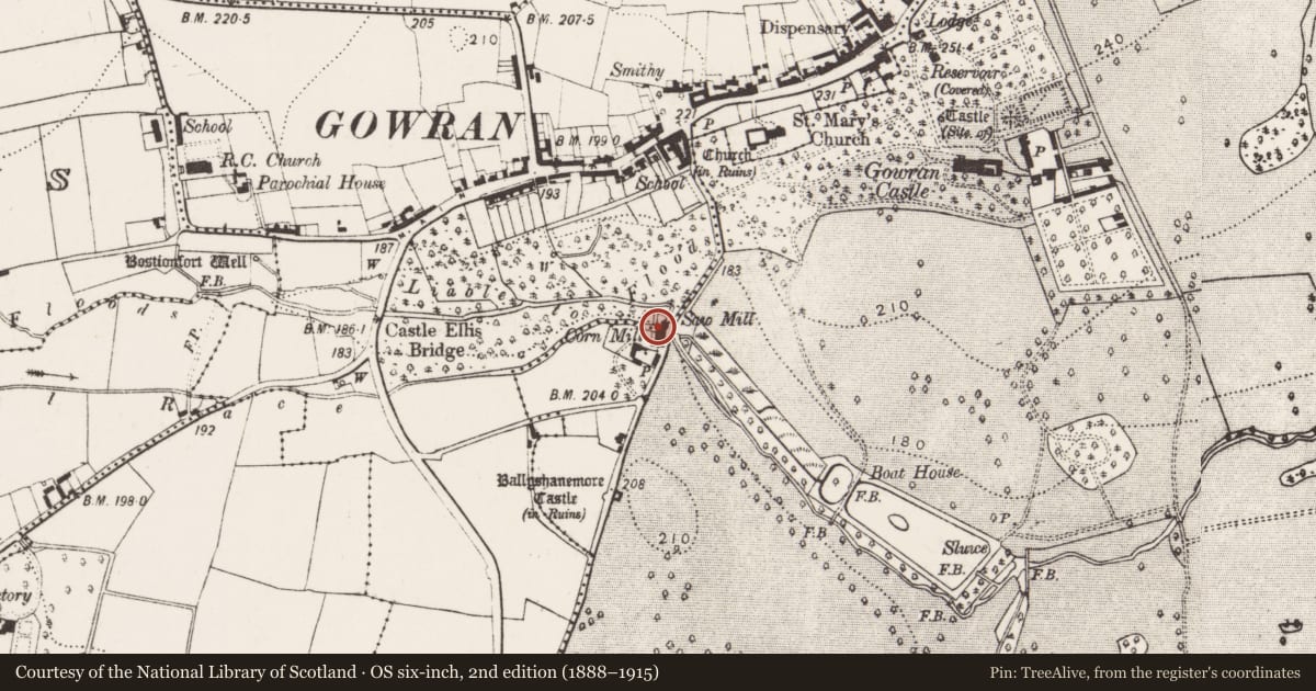 Ordnance Survey six-inch map, 2nd edition (1888–1915) covering the location of Water mill - unclassified, Gowran, Gowran Demesne, County Kilkenny, with a pin at the register's coordinates
