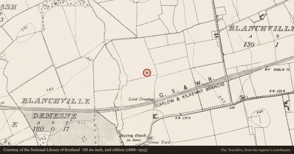 Ordnance Survey six-inch map, 2nd edition (1888–1915) covering the location of Enclosure, Blanchvillestown, County Kilkenny, with a pin at the register's coordinates
