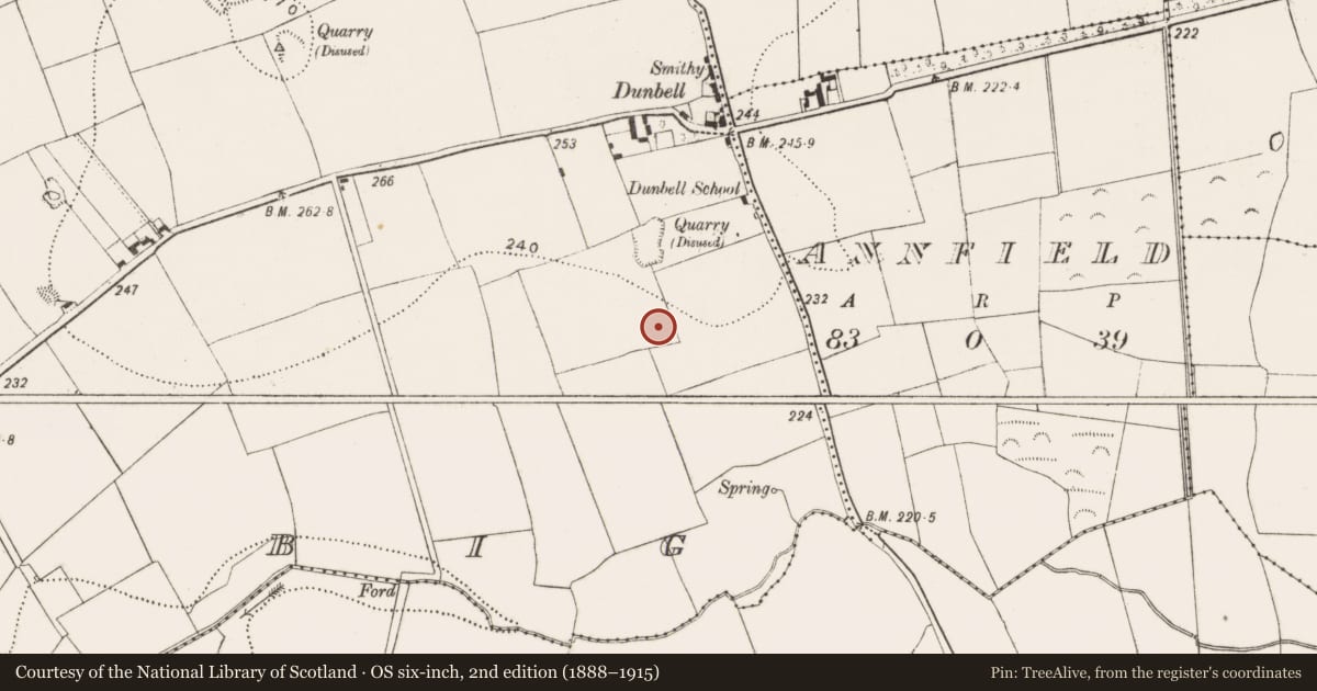 Ordnance Survey six-inch map, 2nd edition (1888–1915) covering the location of Enclosure, Dunbell Big, County Kilkenny, with a pin at the register's coordinates