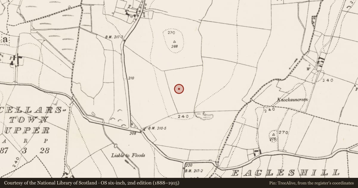 Ordnance Survey six-inch map, 2nd edition (1888–1915) covering the location of Ring-ditch, Higginstown, County Kilkenny, with a pin at the register's coordinates