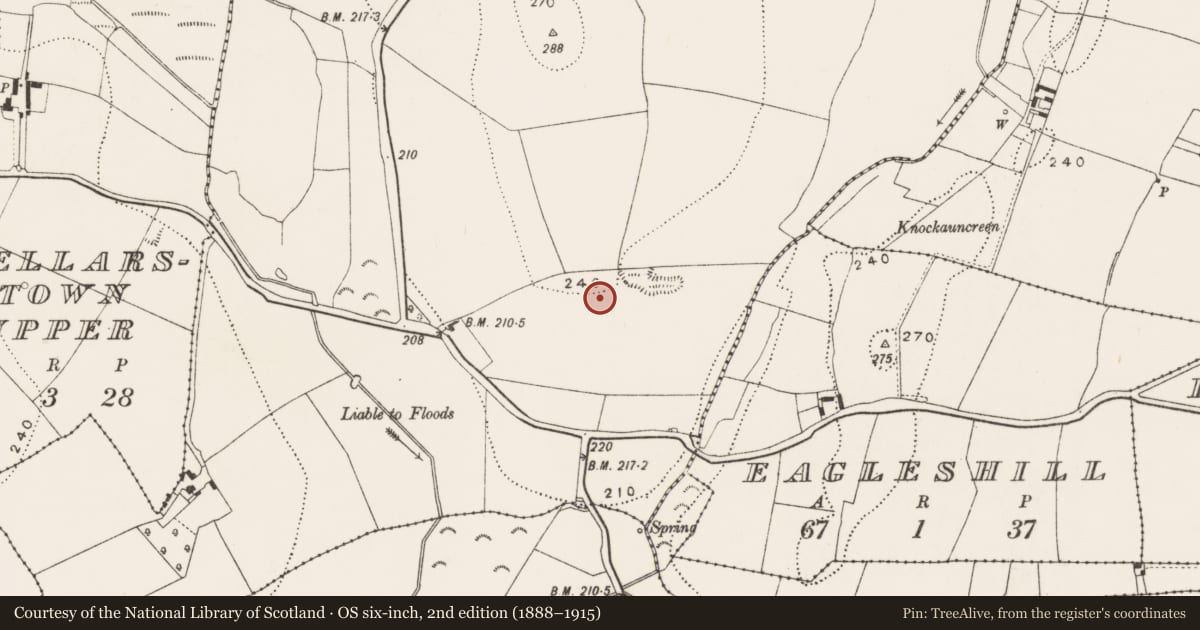 Ordnance Survey six-inch map, 2nd edition (1888–1915) covering the location of Enclosure, Higginstown, County Kilkenny, with a pin at the register's coordinates