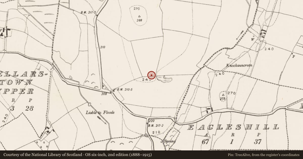 Ordnance Survey six-inch map, 2nd edition (1888–1915) covering the location of Enclosure, Higginstown, County Kilkenny, with a pin at the register's coordinates