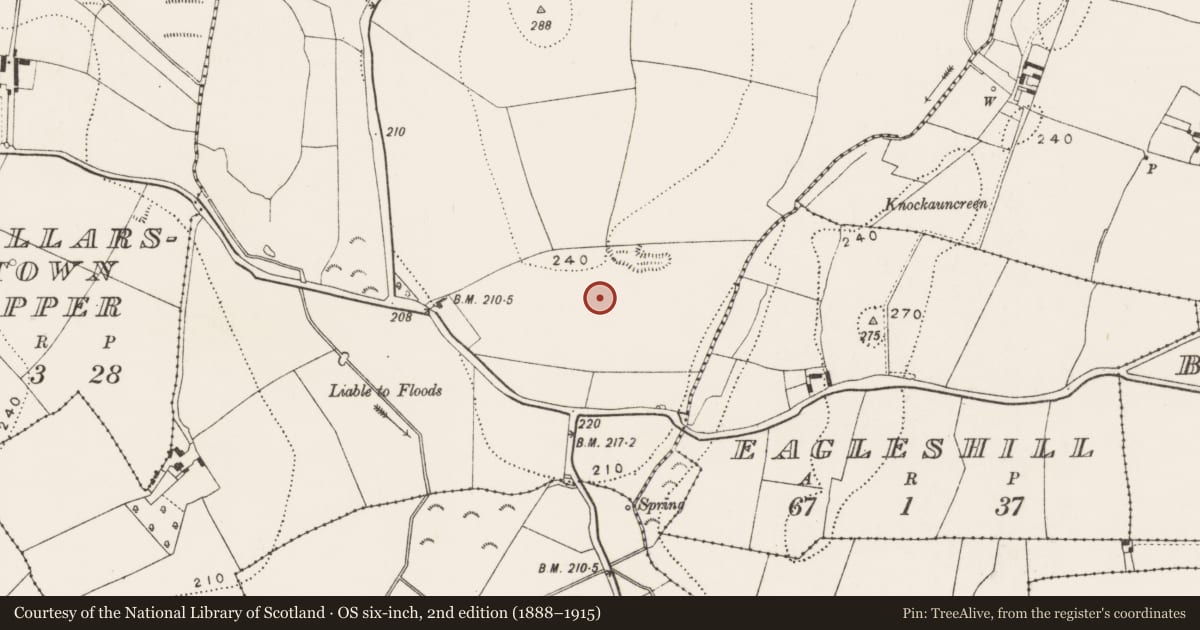 Ordnance Survey six-inch map, 2nd edition (1888–1915) covering the location of Enclosure, Higginstown, County Kilkenny, with a pin at the register's coordinates