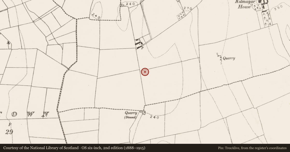 Ordnance Survey six-inch map, 2nd edition (1888–1915) covering the location of Ring-ditch, Kilmagar, County Kilkenny, with a pin at the register's coordinates