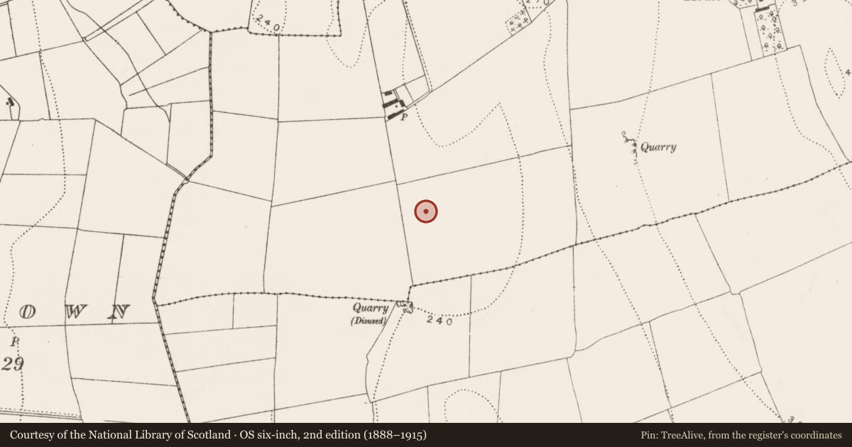 Ordnance Survey six-inch map, 2nd edition (1888–1915) covering the location of Ring-ditch, Kilmagar, County Kilkenny, with a pin at the register's coordinates