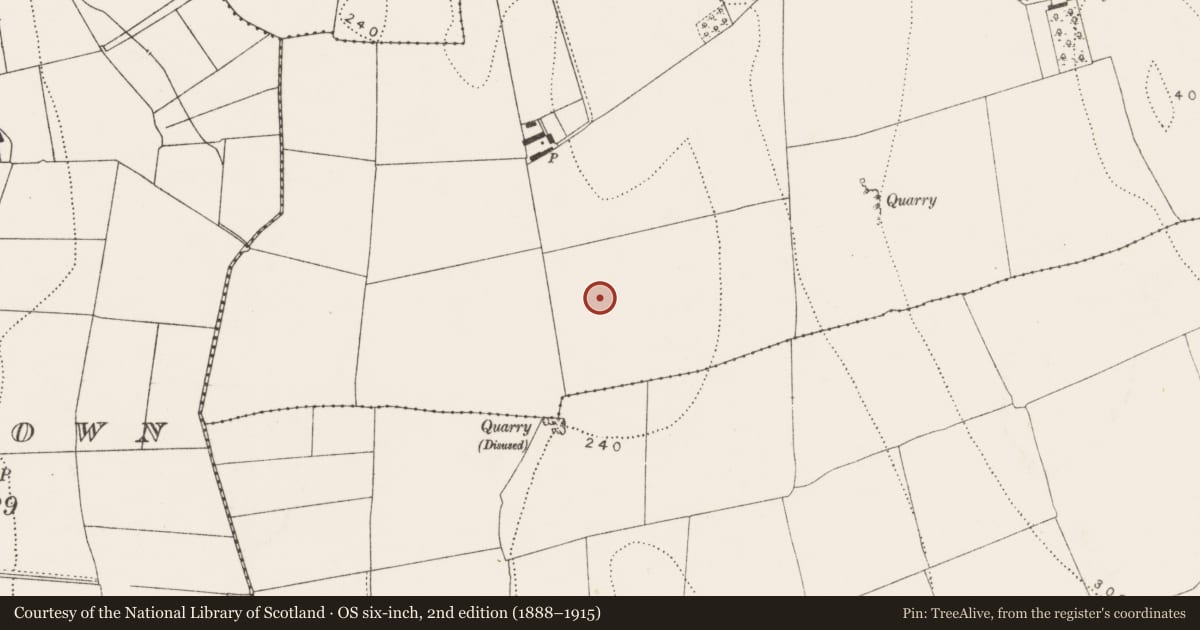 Ordnance Survey six-inch map, 2nd edition (1888–1915) covering the location of Ring-ditch, Kilmagar, County Kilkenny, with a pin at the register's coordinates
