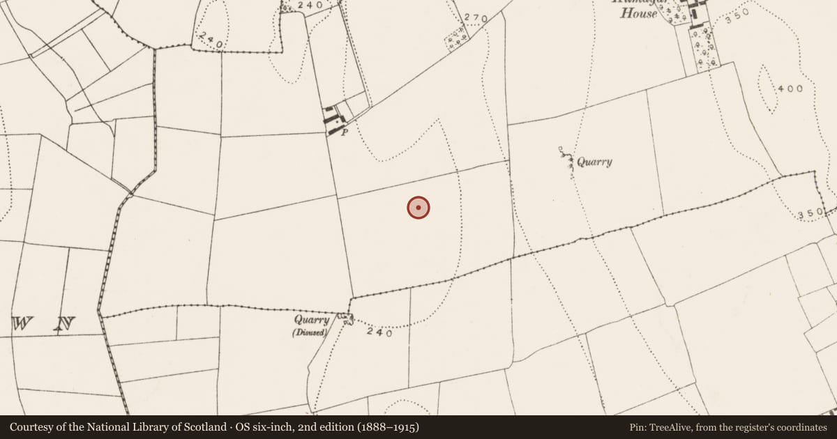 Ordnance Survey six-inch map, 2nd edition (1888–1915) covering the location of Ring-ditch, Kilmagar, County Kilkenny, with a pin at the register's coordinates