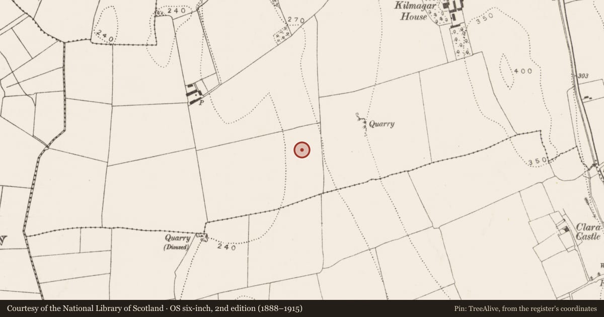 Ordnance Survey six-inch map, 2nd edition (1888–1915) covering the location of Ring-ditch, Kilmagar, County Kilkenny, with a pin at the register's coordinates