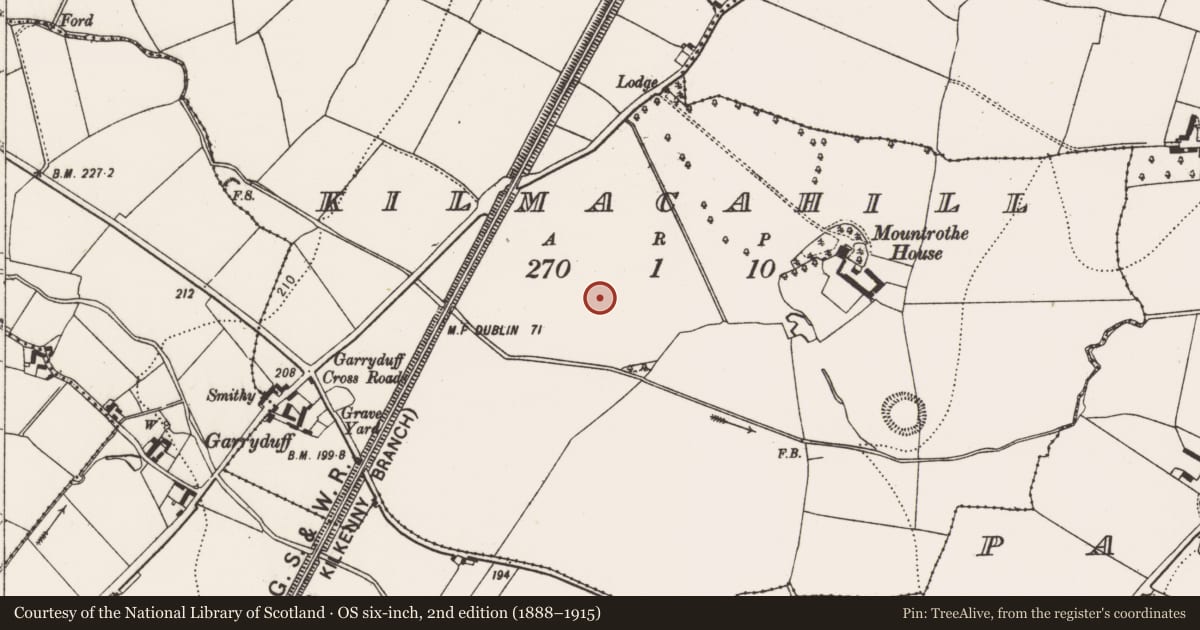 Ordnance Survey six-inch map, 2nd edition (1888–1915) covering the location of Enclosure, Kilmacahill, County Kilkenny, with a pin at the register's coordinates