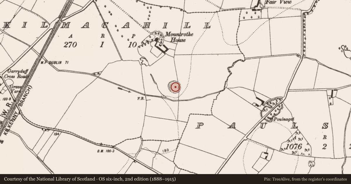 Ordnance Survey six-inch map, 2nd edition (1888–1915) covering the location of Enclosure, Kilmacahill, County Kilkenny, with a pin at the register's coordinates