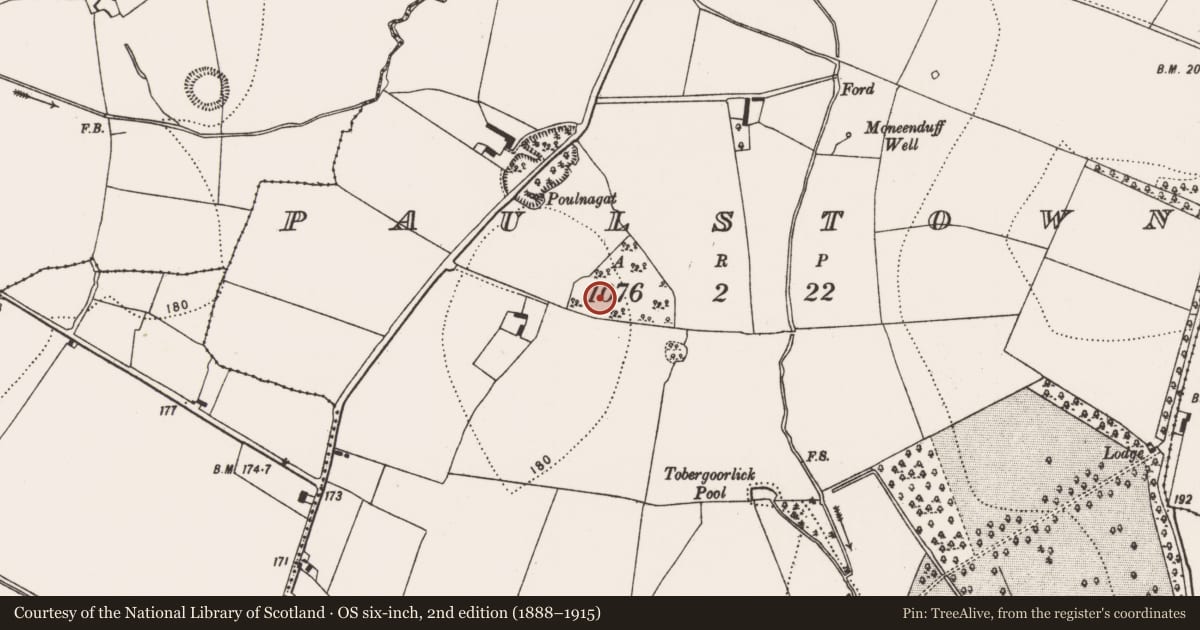 Ordnance Survey six-inch map, 2nd edition (1888–1915) covering the location of Enclosure, Paulstown, County Kilkenny, with a pin at the register's coordinates