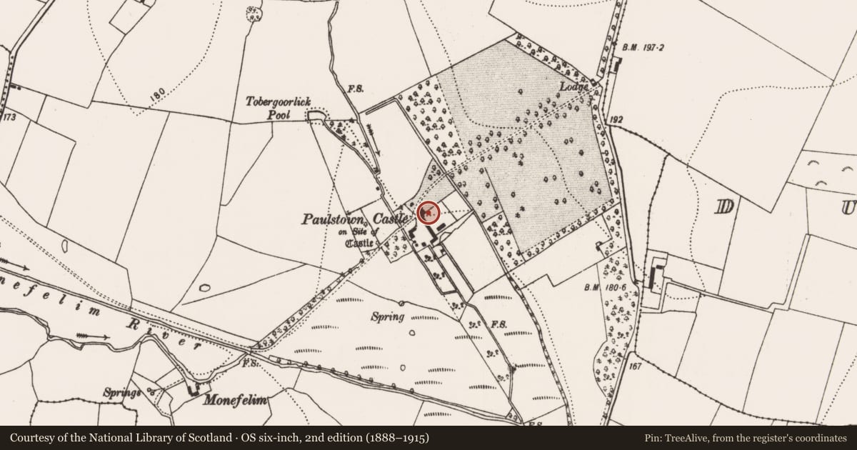 Ordnance Survey six-inch map, 2nd edition (1888–1915) covering the location of Castle - tower house, Paulstown, County Kilkenny, with a pin at the register's coordinates