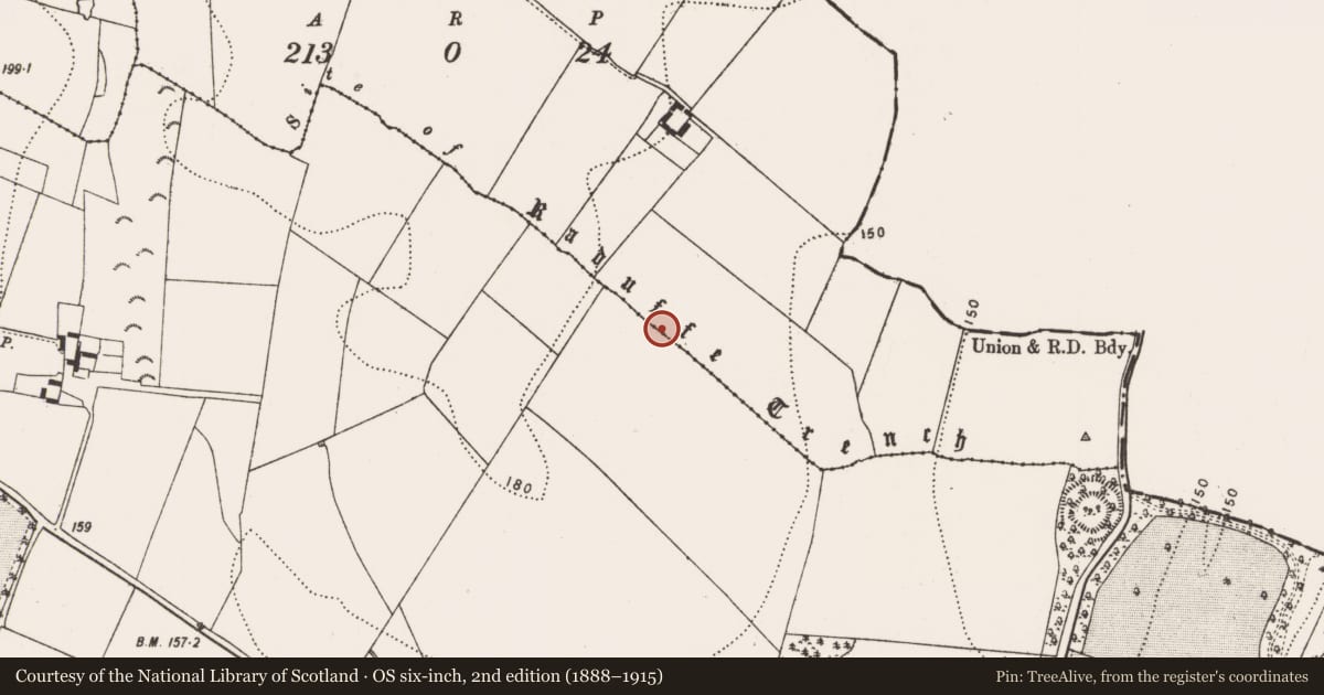 Ordnance Survey six-inch map, 2nd edition (1888–1915) covering the location of Linear earthwork, Ballytarsna, Duninga, County Kilkenny, with a pin at the register's coordinates