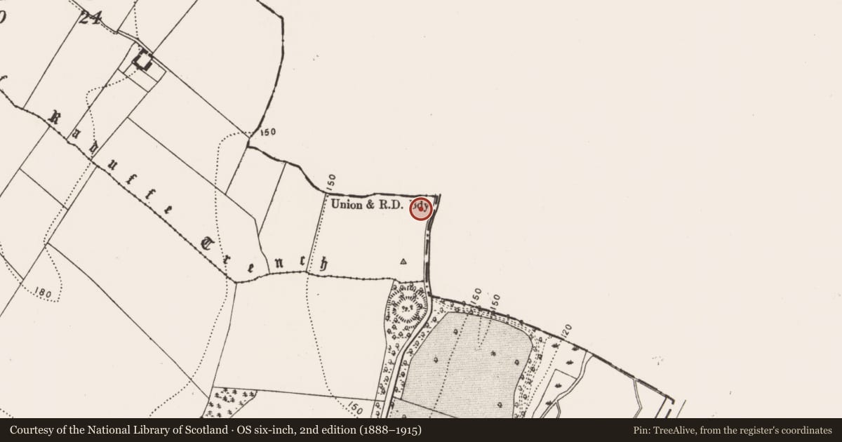 Ordnance Survey six-inch map, 2nd edition (1888–1915) covering the location of Enclosure, Ballytarsna, County Kilkenny, with a pin at the register's coordinates