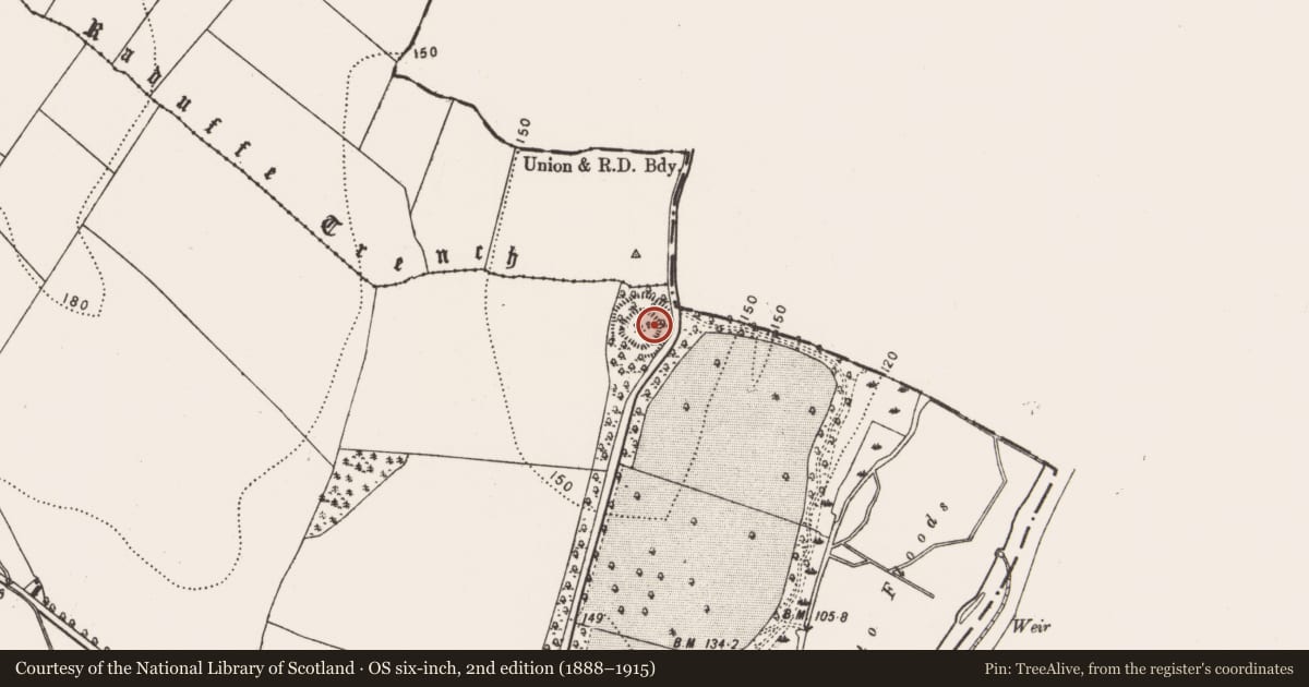 Ordnance Survey six-inch map, 2nd edition (1888–1915) covering the location of Cist, Duninga, County Kilkenny, with a pin at the register's coordinates