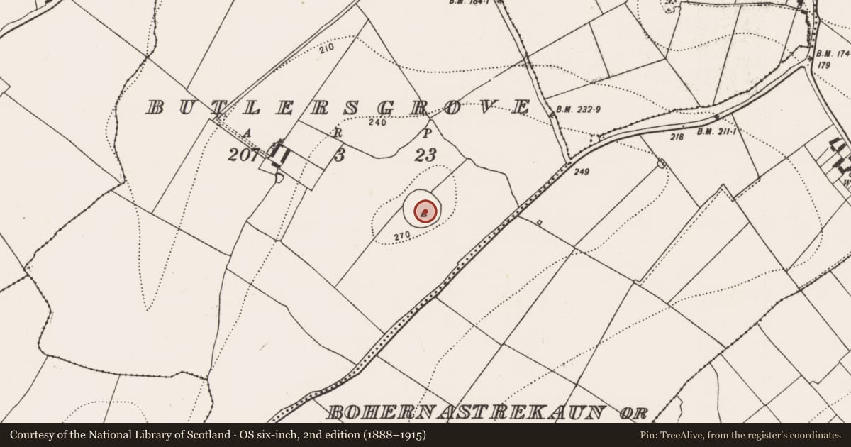 Ordnance Survey six-inch map, 2nd edition (1888–1915) covering the location of Enclosure - large enclosure, Butlersgrove, County Kilkenny, with a pin at the register's coordinates