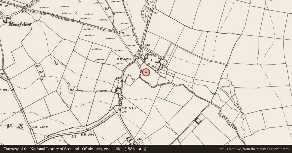 Ordnance Survey six-inch map, 2nd edition (1888–1915) covering the location of Fulacht fia, Paulstown, County Kilkenny, with a pin at the register's coordinates