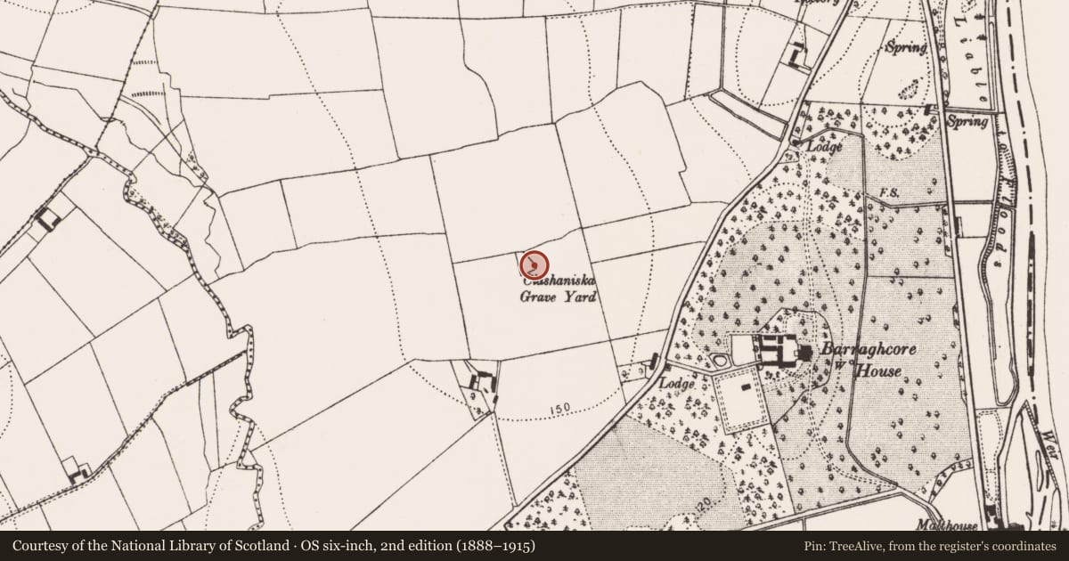 Ordnance Survey six-inch map, 2nd edition (1888–1915) covering the location of Burial ground, Duninga, County Kilkenny, with a pin at the register's coordinates