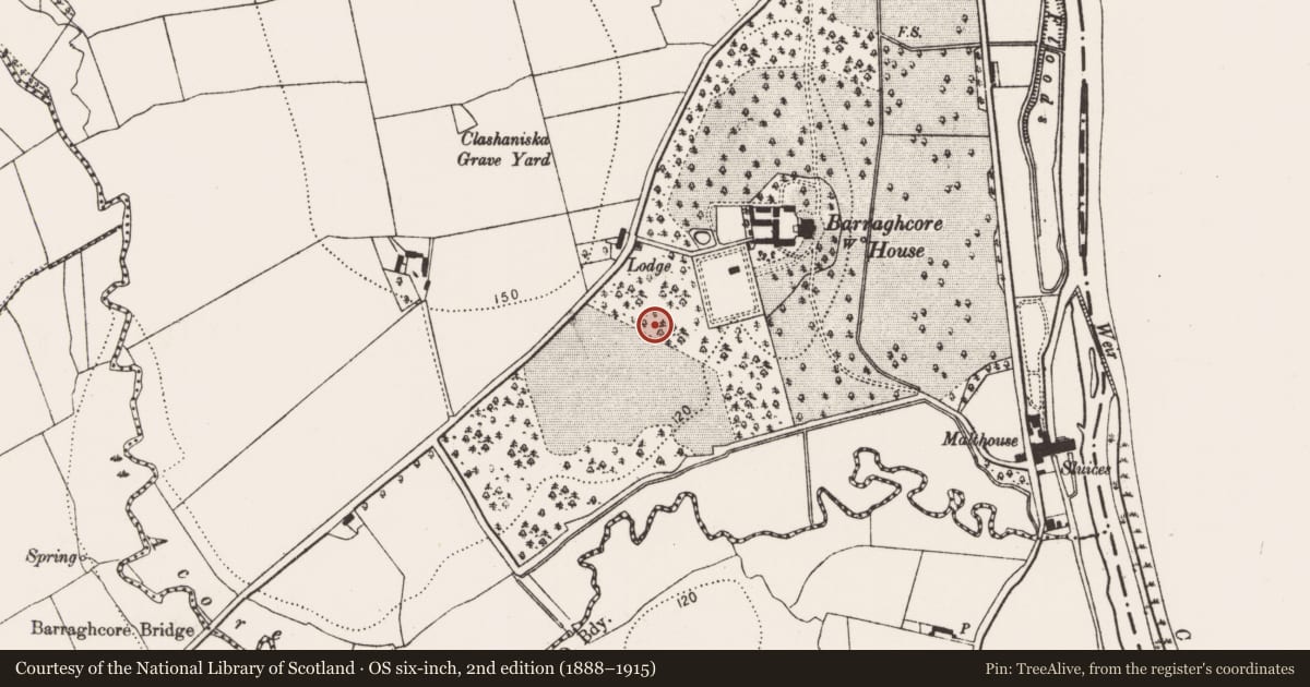 Ordnance Survey six-inch map, 2nd edition (1888–1915) covering the location of Enclosure, Duninga, County Kilkenny, with a pin at the register's coordinates