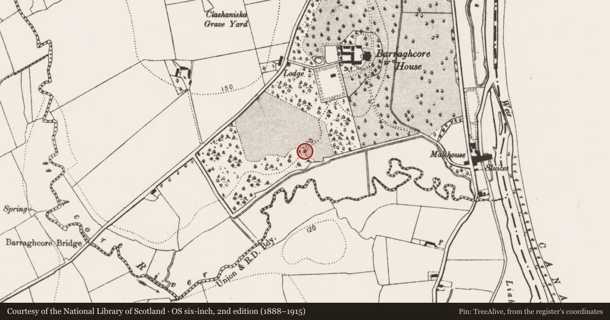 Ordnance Survey six-inch map, 2nd edition (1888–1915) covering the location of Enclosure, Duninga, County Kilkenny, with a pin at the register's coordinates