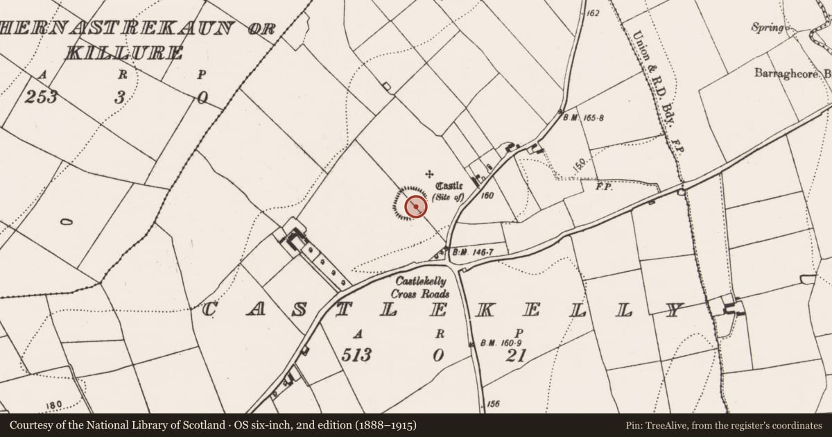 Ordnance Survey six-inch map, 2nd edition (1888–1915) covering the location of Enclosure - large enclosure, Castlekelly, County Kilkenny, with a pin at the register's coordinates
