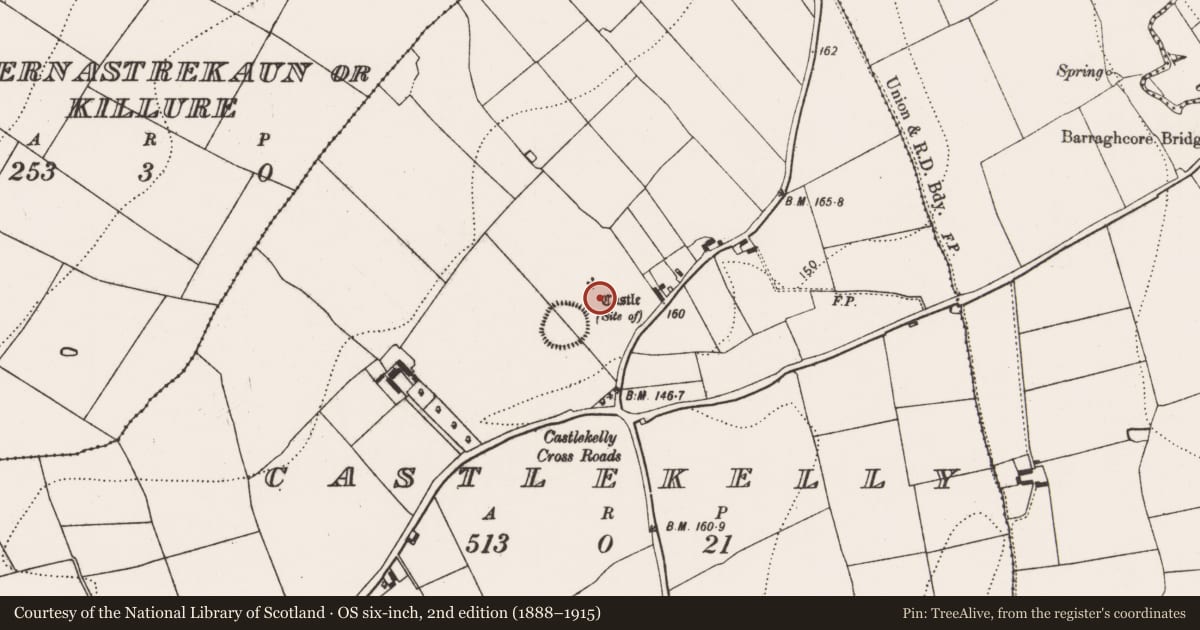 Ordnance Survey six-inch map, 2nd edition (1888–1915) covering the location of Castle - unclassified, Castlekelly, County Kilkenny, with a pin at the register's coordinates