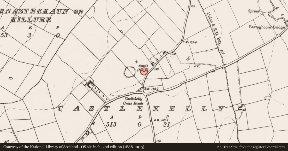 Ordnance Survey six-inch map, 2nd edition (1888–1915) covering the location of Road - road/trackway, Castlekelly, County Kilkenny, with a pin at the register's coordinates