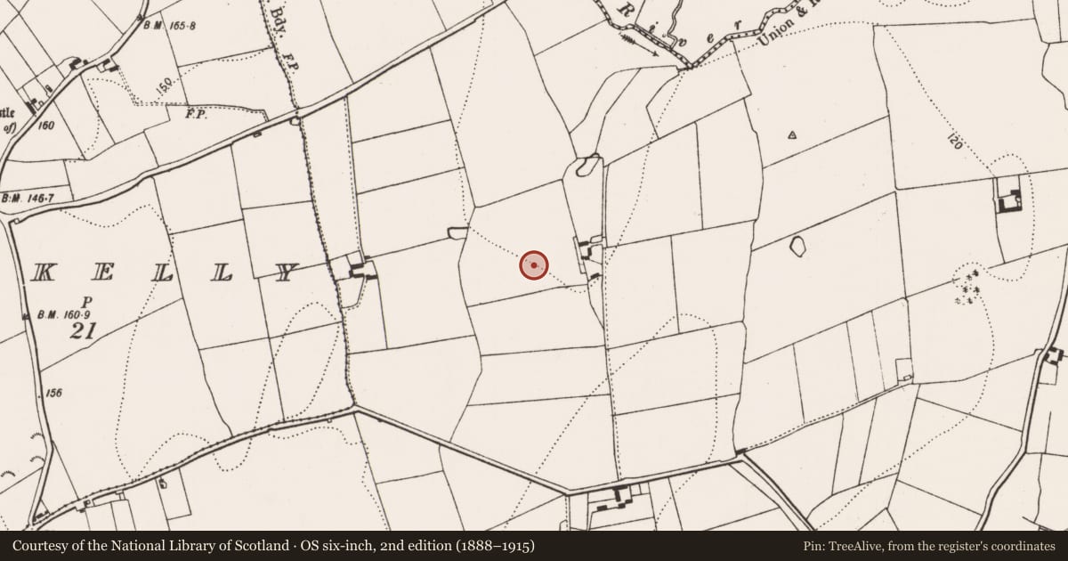 Ordnance Survey six-inch map, 2nd edition (1888–1915) covering the location of Enclosure, Grange Lower, County Kilkenny, with a pin at the register's coordinates