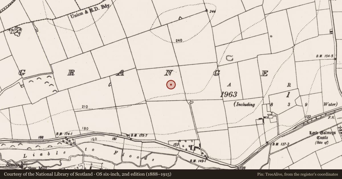 Ordnance Survey six-inch map, 2nd edition (1888–1915) covering the location of Enclosure - large enclosure, Grange Lower, County Kilkenny, with a pin at the register's coordinates