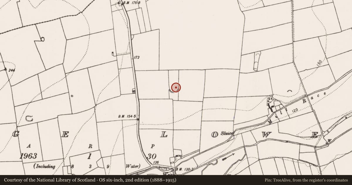 Ordnance Survey six-inch map, 2nd edition (1888–1915) covering the location of Enclosure, Grange Lower, County Kilkenny, with a pin at the register's coordinates