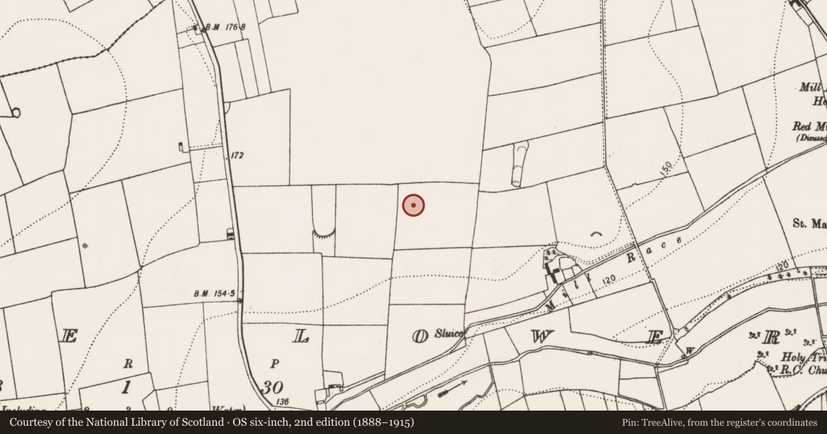 Ordnance Survey six-inch map, 2nd edition (1888–1915) covering the location of Enclosure, Grange Lower, County Kilkenny, with a pin at the register's coordinates