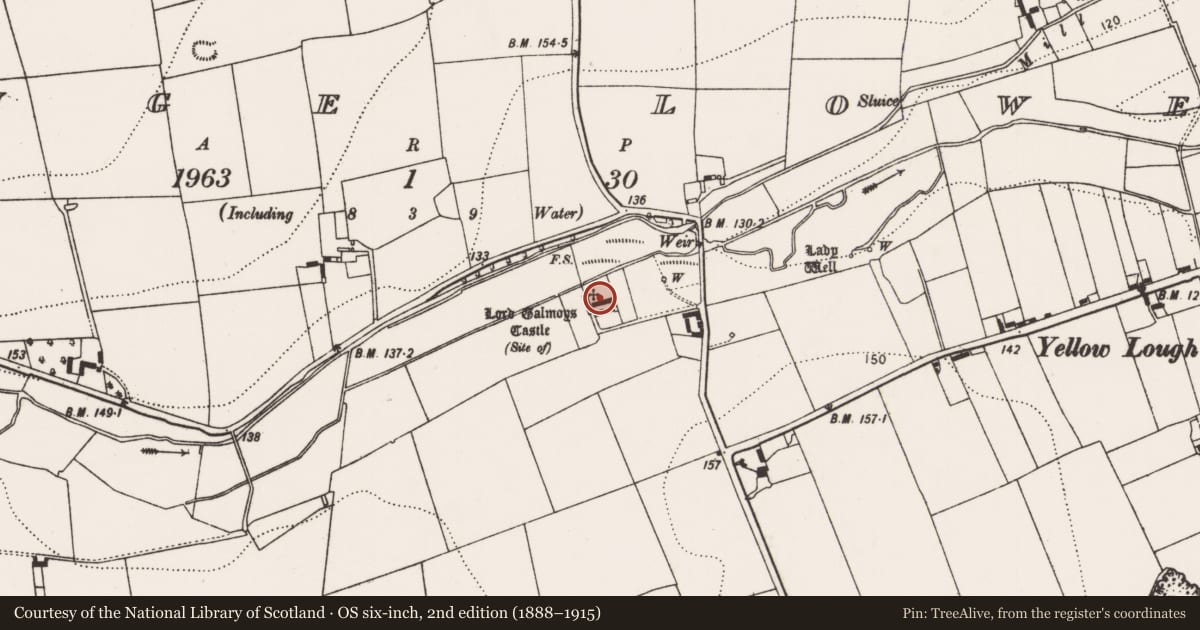 Ordnance Survey six-inch map, 2nd edition (1888–1915) covering the location of Castle - unclassified, Grange Lower, County Kilkenny, with a pin at the register's coordinates