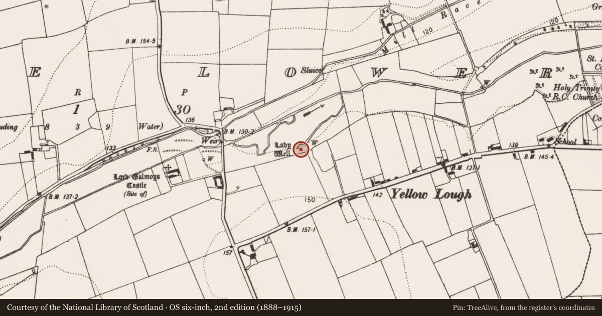 Ordnance Survey six-inch map, 2nd edition (1888–1915) covering the location of Well, Grange Lower, County Kilkenny, with a pin at the register's coordinates