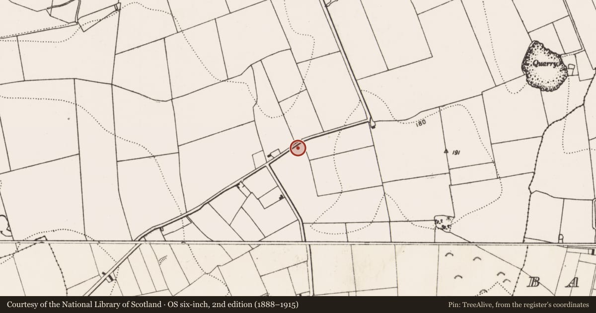 Ordnance Survey six-inch map, 2nd edition (1888–1915) covering the location of Burial ground, Grange Lower, County Kilkenny, with a pin at the register's coordinates