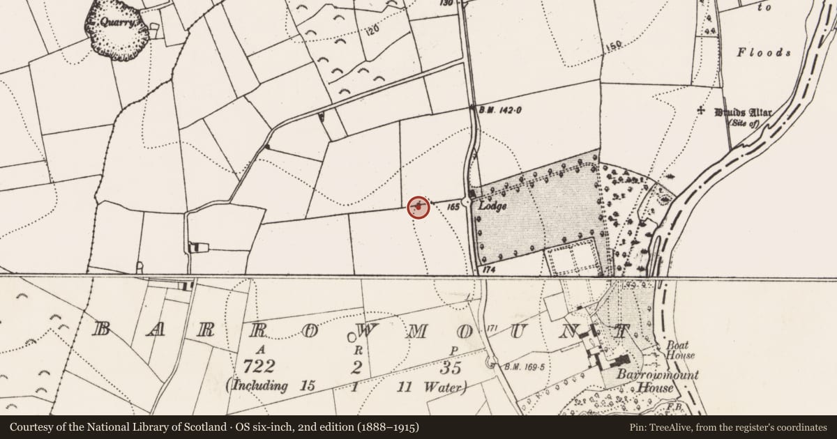 Ordnance Survey six-inch map, 2nd edition (1888–1915) covering the location of Enclosure - large enclosure, Barrowmount, County Kilkenny, with a pin at the register's coordinates