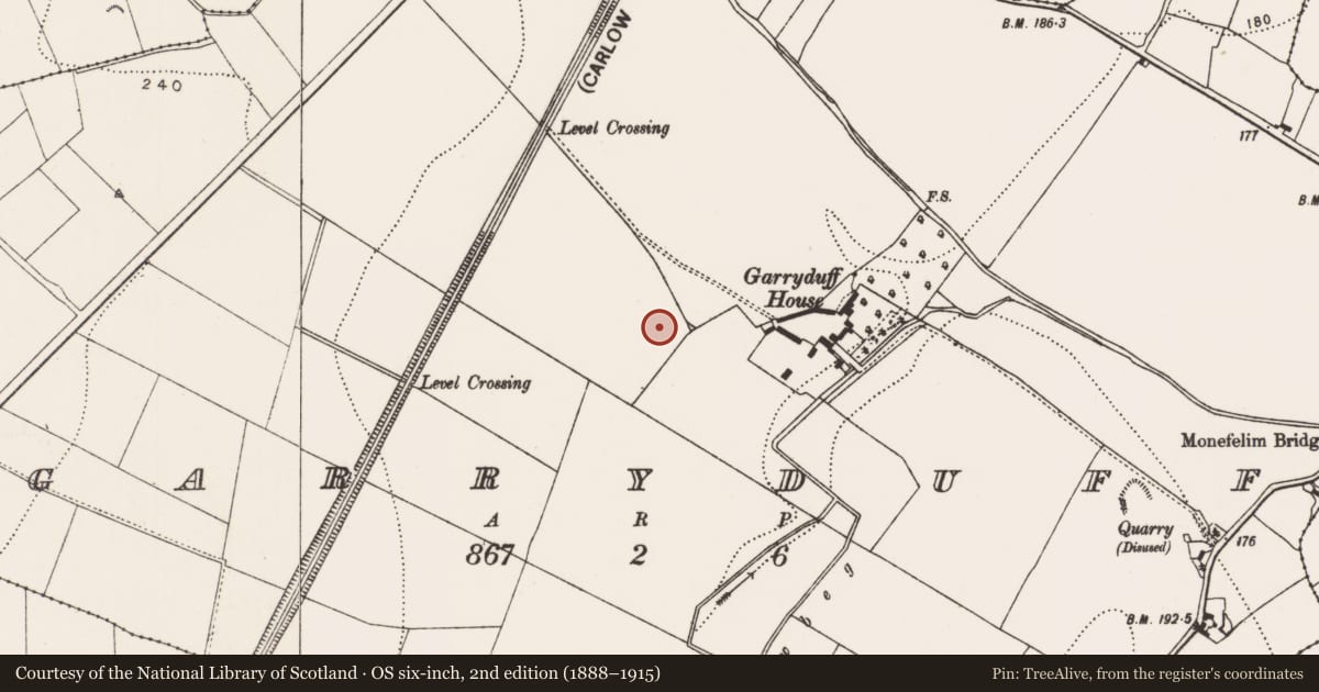 Ordnance Survey six-inch map, 2nd edition (1888–1915) covering the location of Ring-ditch, Garryduff, County Kilkenny, with a pin at the register's coordinates