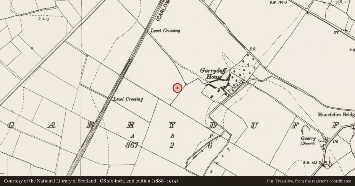 Ordnance Survey six-inch map, 2nd edition (1888–1915) covering the location of Ring-ditch, Garryduff, County Kilkenny, with a pin at the register's coordinates