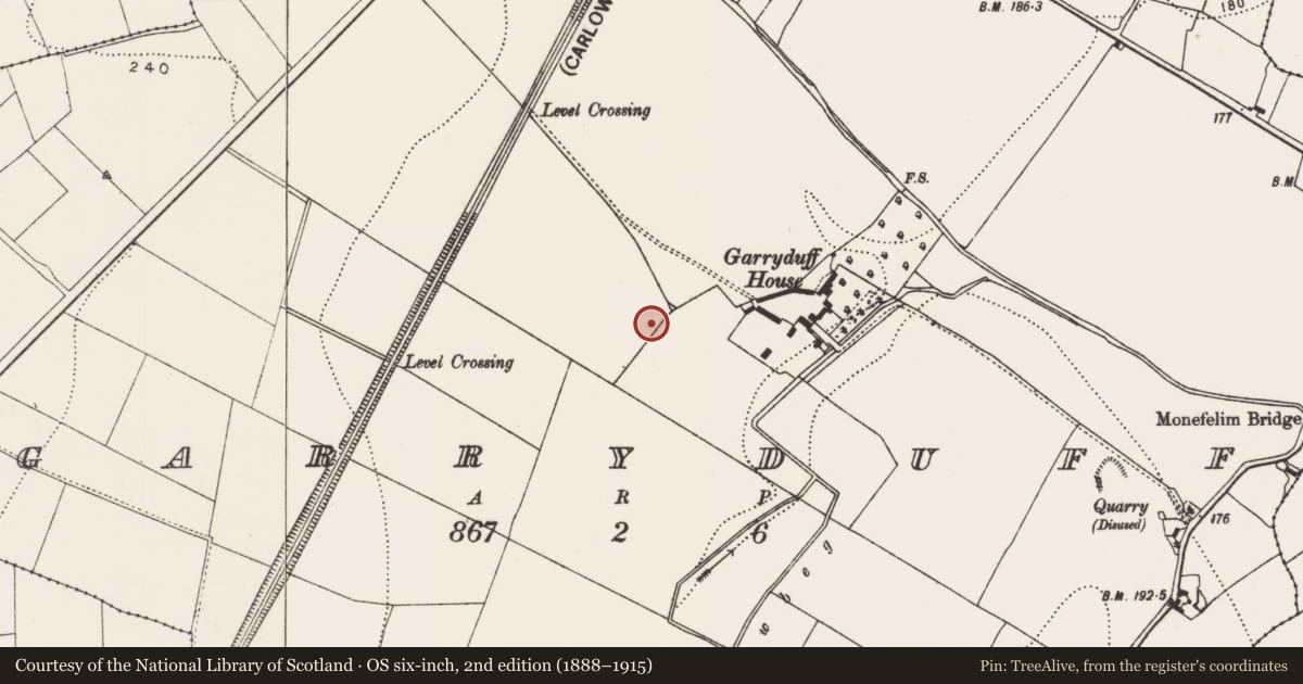 Ordnance Survey six-inch map, 2nd edition (1888–1915) covering the location of Ring-ditch, Garryduff, County Kilkenny, with a pin at the register's coordinates