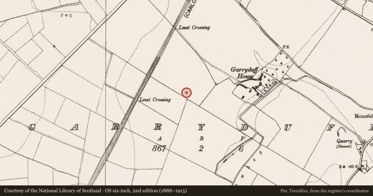 Ordnance Survey six-inch map, 2nd edition (1888–1915) covering the location of Ring-ditch, Garryduff, County Kilkenny, with a pin at the register's coordinates