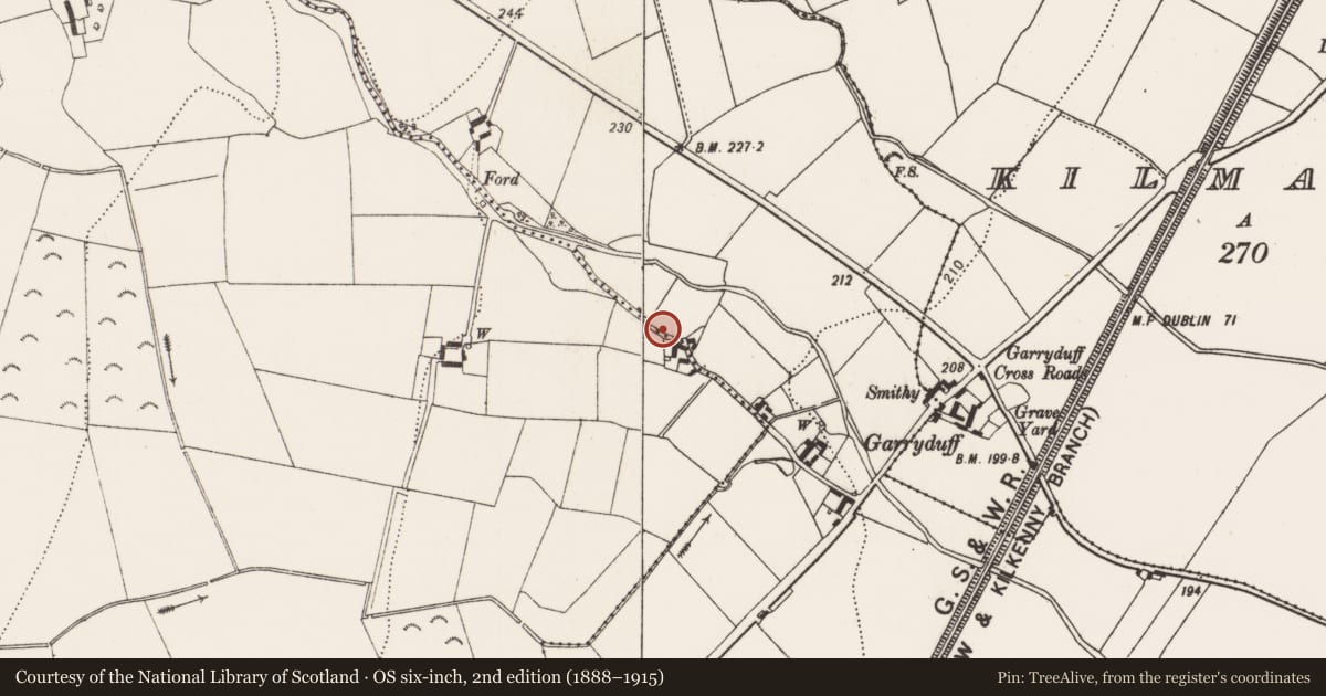 Ordnance Survey six-inch map, 2nd edition (1888–1915) covering the location of Structure, Garryduff, County Kilkenny, with a pin at the register's coordinates